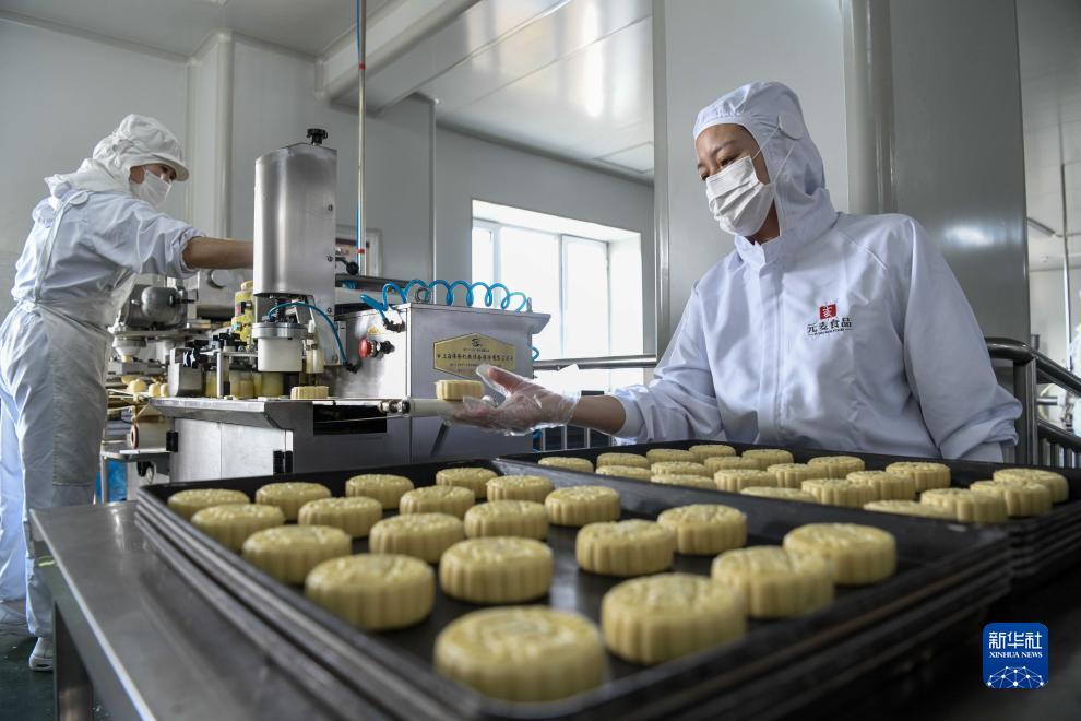 捕鱼网站可以破解